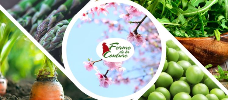 Meilleurs accompagnements pour volaille