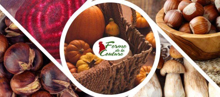 Cuisiner les volailles avec les récoltes d’automne