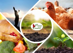 Bien commencer l’année avec des plats sains et réconfortants