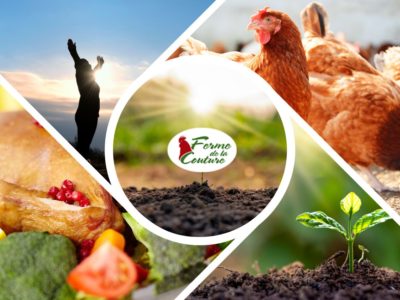 Bien commencer l’année avec des plats sains et réconfortants