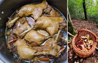 Canard aux champignons et châtaignes